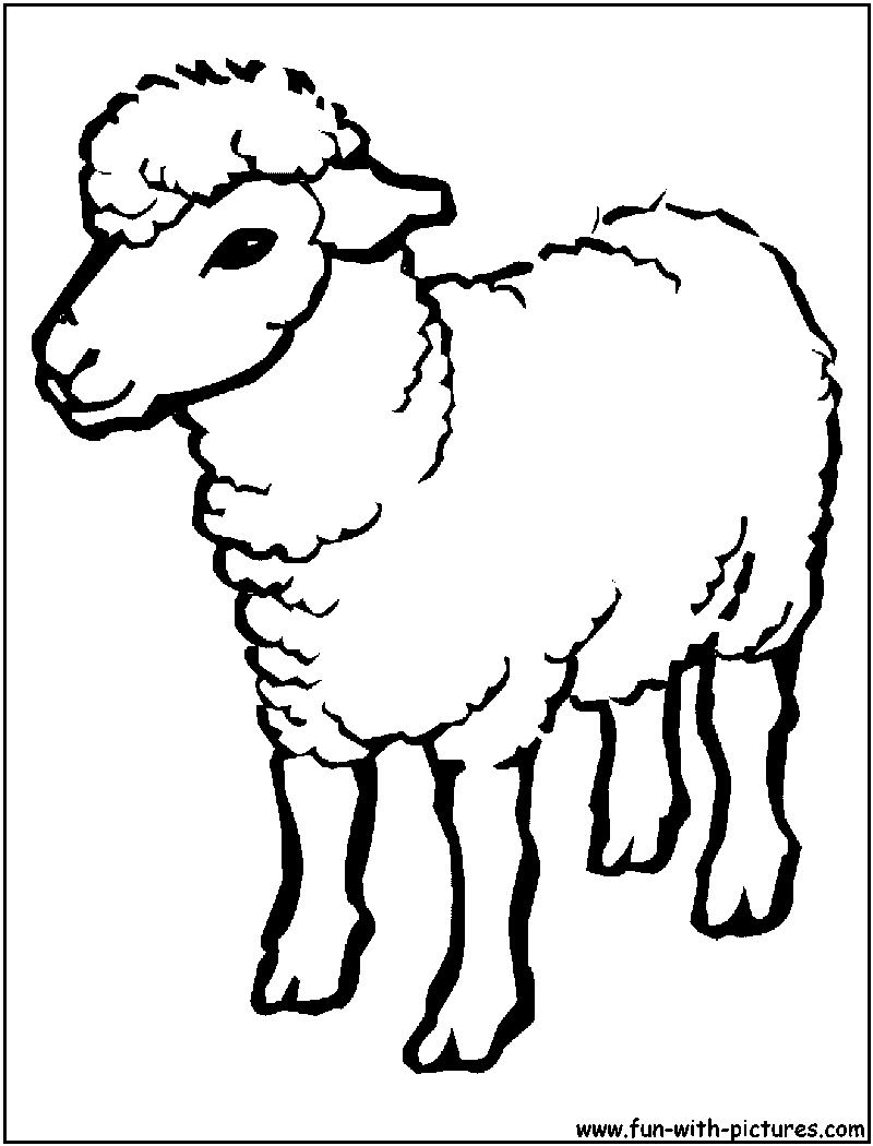 Coloring page: Lamb (Animals) #272 - Free Printable Coloring Pages