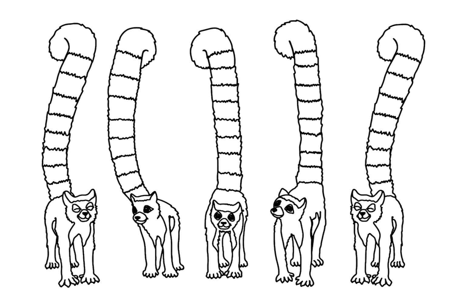 Free printable Lemur coloring page #219668 from Animals collection