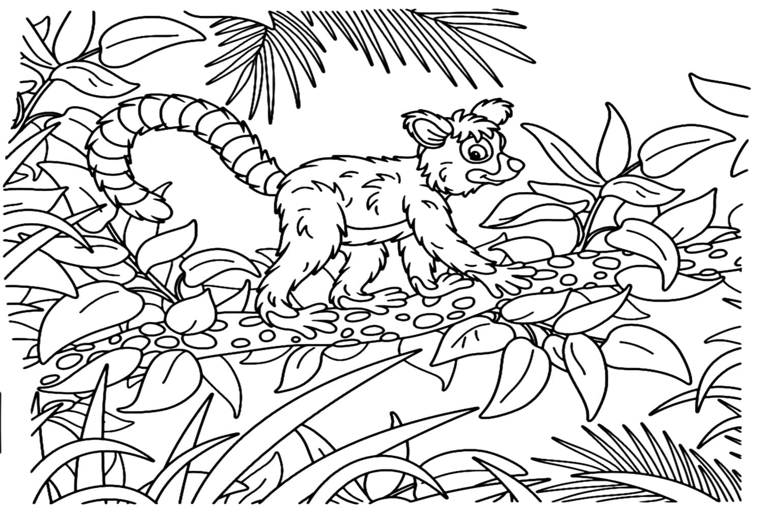 Free printable Lemur coloring page #219673 from Animals collection