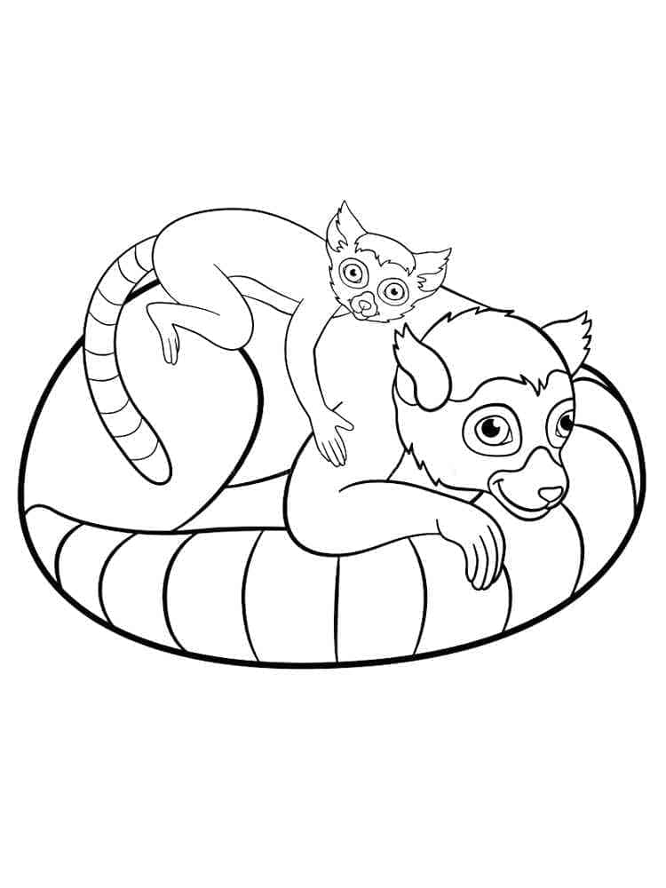 Free printable Lemur coloring page #219690 from Animals collection