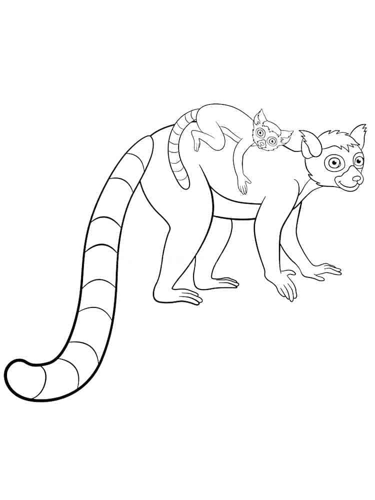 Free printable Lemur coloring page #219692 from Animals collection