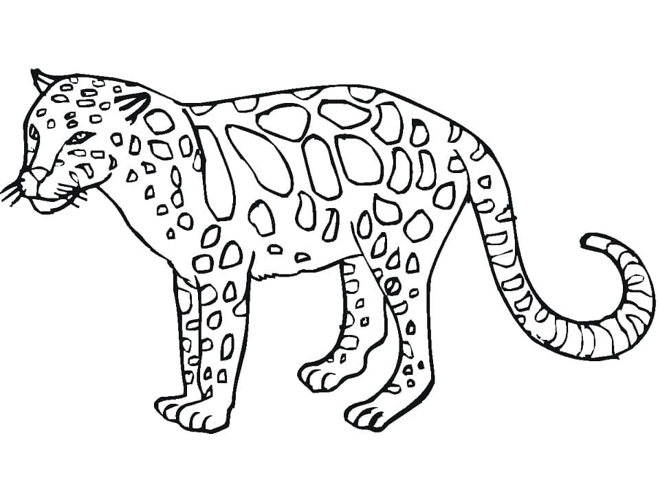 Free printable Leopard coloring page #189154 from Animals collection Free printable Leopard coloring page #189154 from Animals collection
