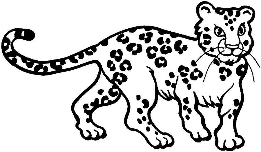 Coloring page: Leopard (Animals) #9706 - Free Printable Coloring Pages
