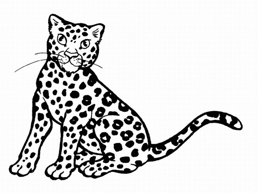 Coloring page: Leopard (Animals) #9735 - Free Printable Coloring Pages