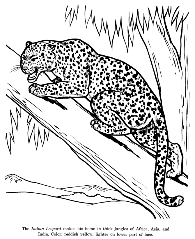 Coloring page: Leopard (Animals) #9748 - Free Printable Coloring Pages