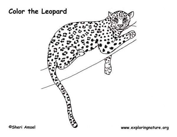 Coloring page: Leopard (Animals) #9753 - Free Printable Coloring Pages