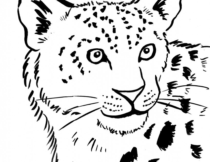 Coloring page: Leopard (Animals) #9759 - Free Printable Coloring Pages