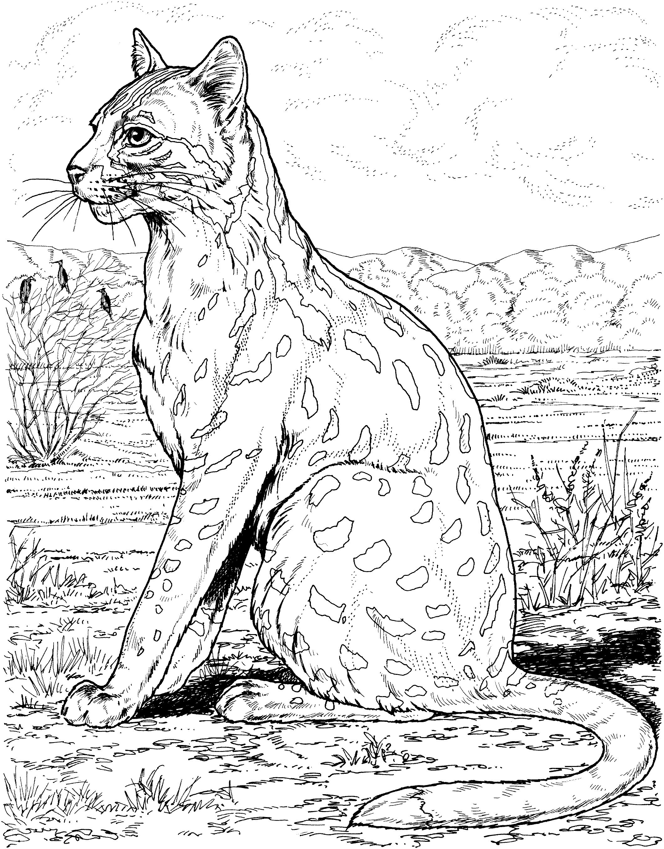 Coloring page: Leopard (Animals) #9771 - Free Printable Coloring Pages