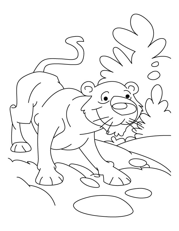 Coloring page: Leopard (Animals) #9786 - Free Printable Coloring Pages