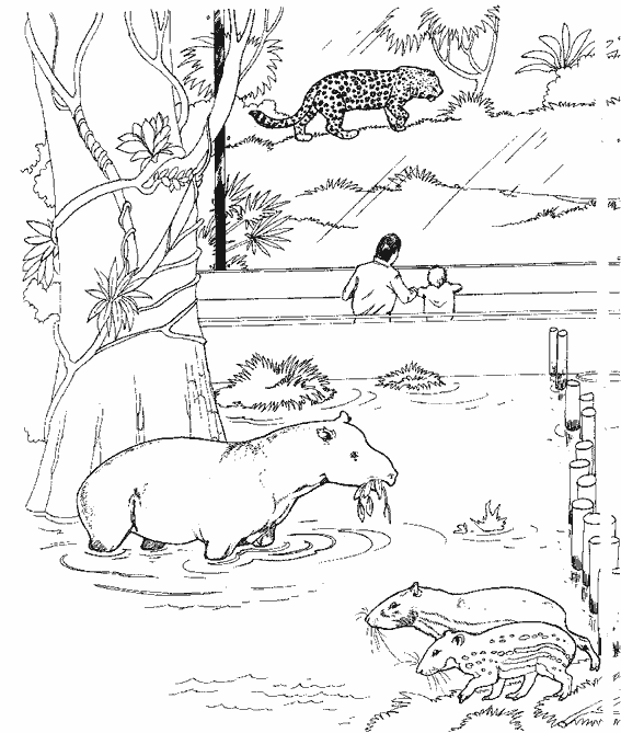 Coloring page: Leopard (Animals) #9788 - Free Printable Coloring Pages