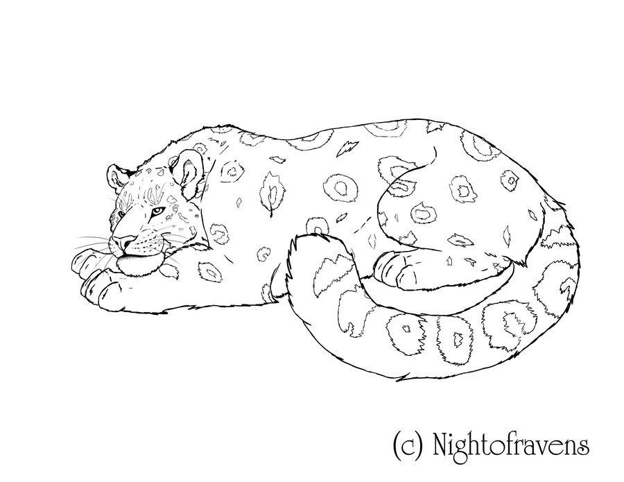 Coloring page: Leopard (Animals) #9801 - Free Printable Coloring Pages