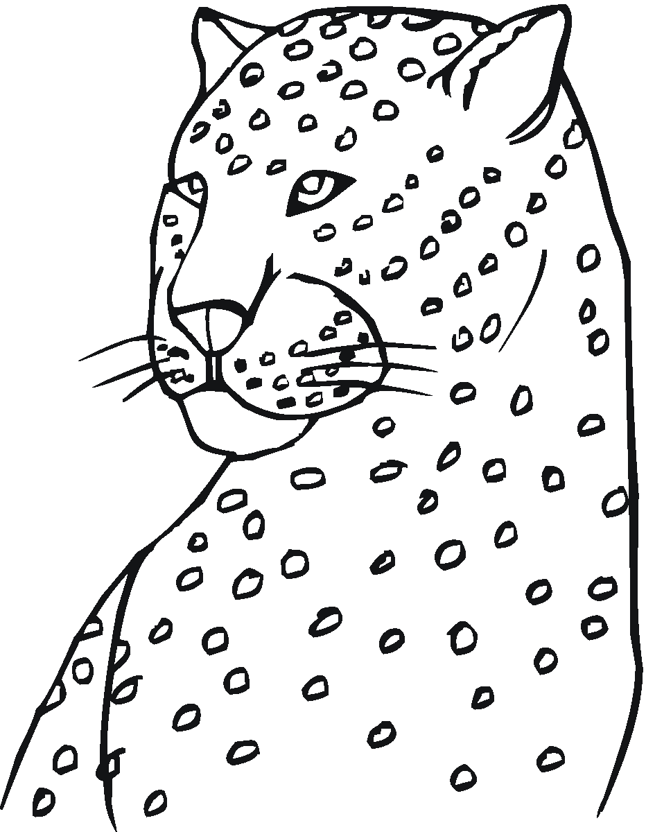 Coloring page: Leopard (Animals) #9814 - Free Printable Coloring Pages
