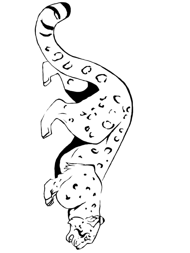 Coloring page: Leopard (Animals) #9823 - Free Printable Coloring Pages