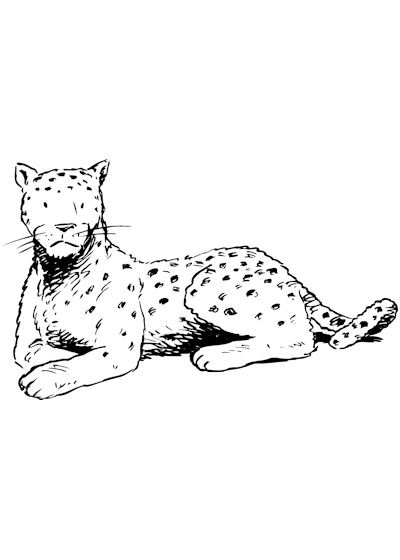 Coloring page: Leopard (Animals) #9835 - Free Printable Coloring Pages