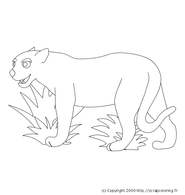 Coloring page: Leopard (Animals) #9841 - Free Printable Coloring Pages