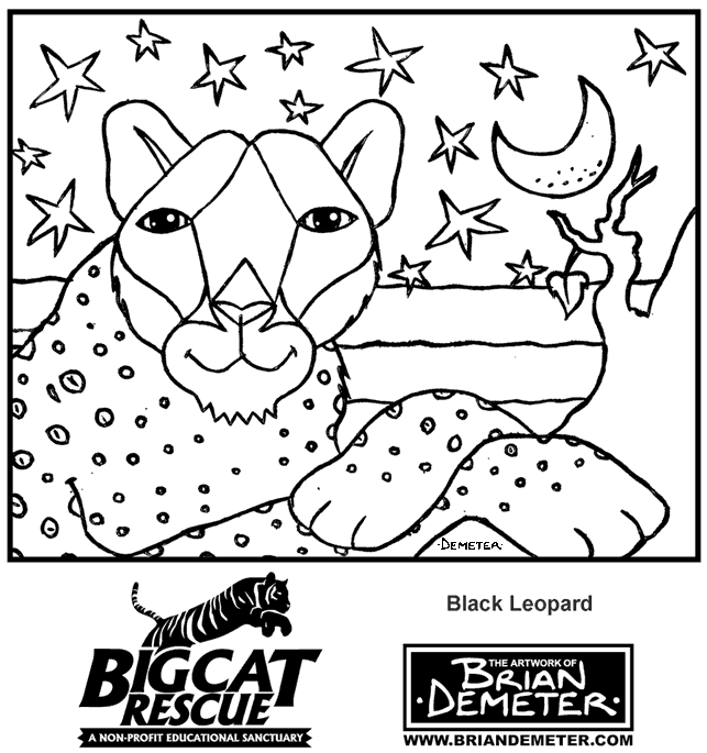 Coloring page: Leopard (Animals) #9864 - Free Printable Coloring Pages