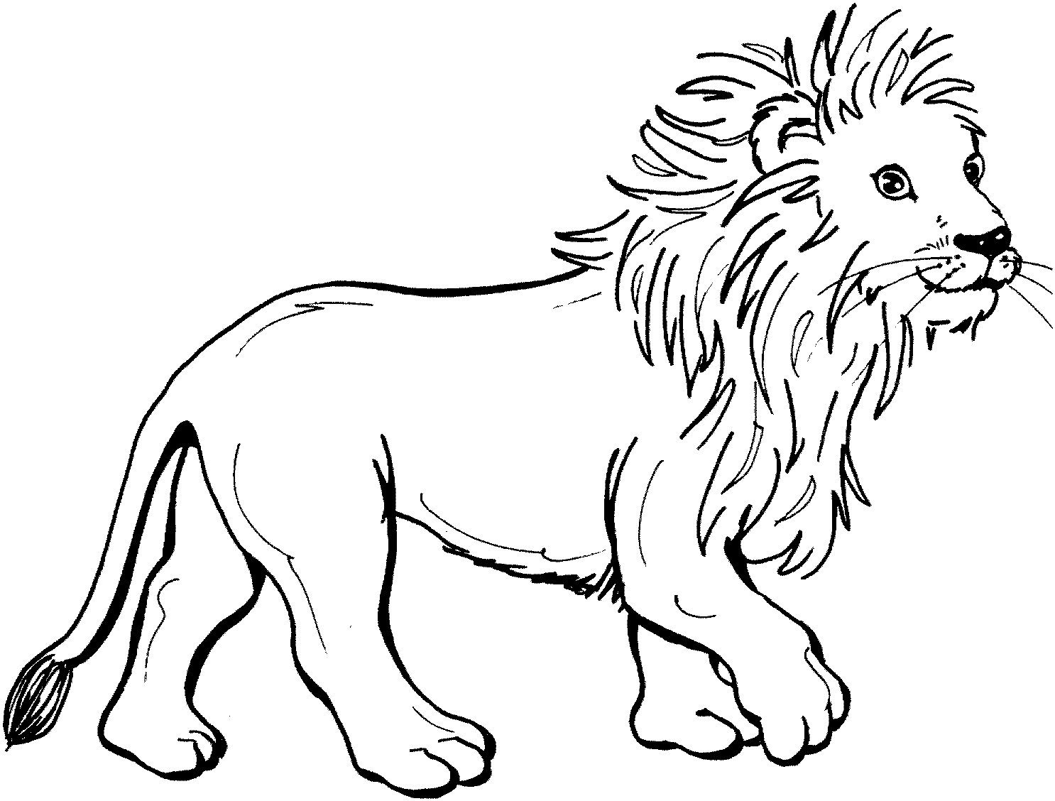 Coloring page: Lion (Animals) #10240 - Free Printable Coloring Pages