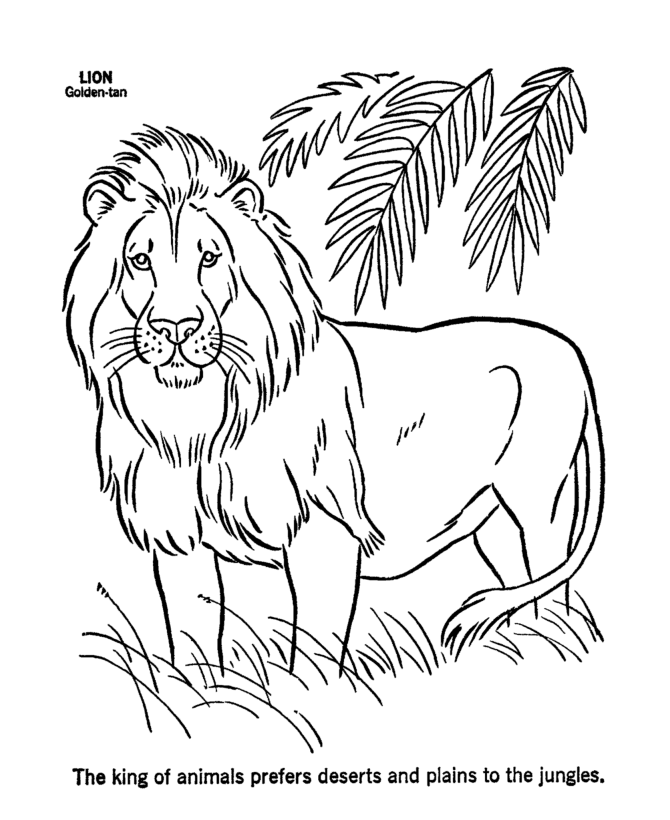 Coloring page: Lion (Animals) #10252 - Free Printable Coloring Pages