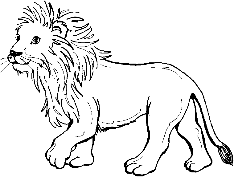 Coloring page Lion #10267 (Animals) – Printable Coloring Pages