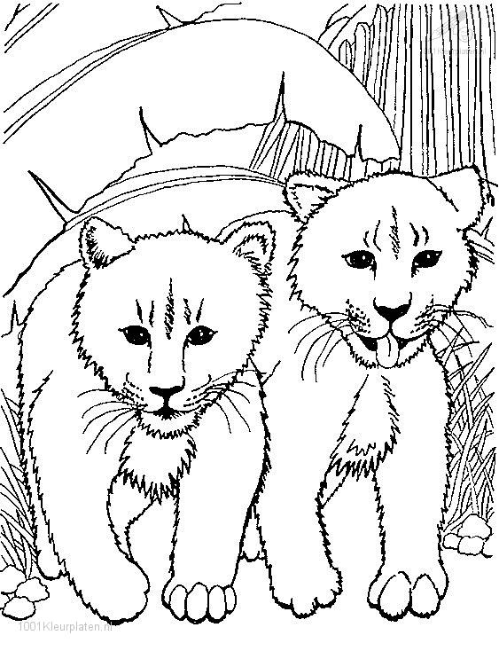 Coloring page: Lion (Animals) #10296 - Free Printable Coloring Pages