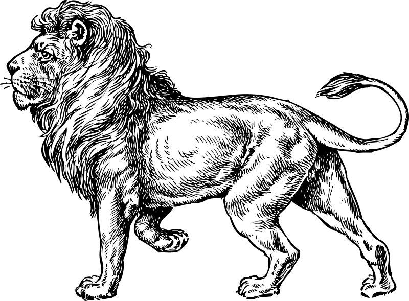 Coloring page: Lion (Animals) #10318 - Free Printable Coloring Pages