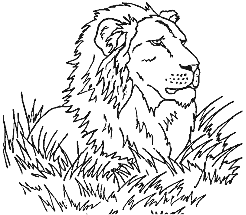 Coloring page: Lion (Animals) #10349 - Free Printable Coloring Pages