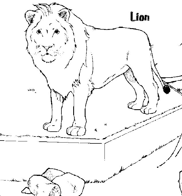 Coloring page: Lion (Animals) #10359 - Free Printable Coloring Pages
