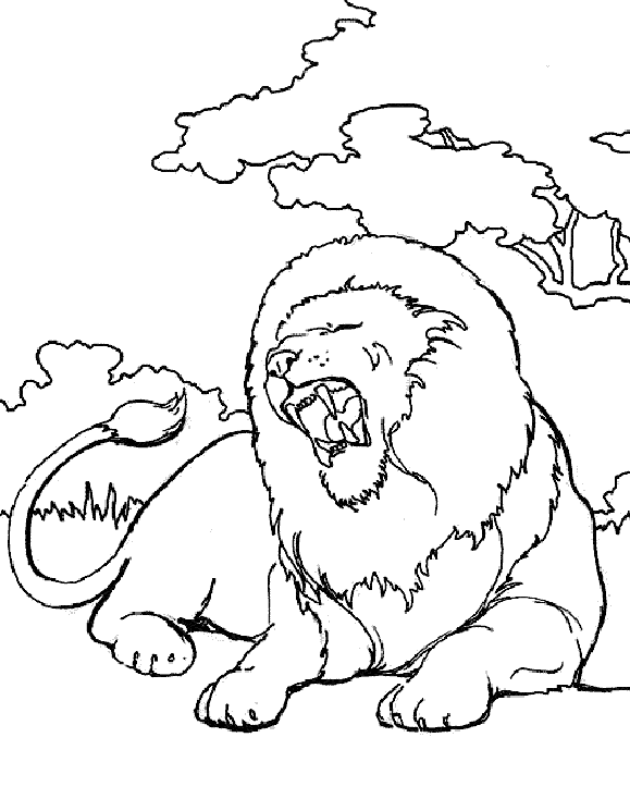 Coloring page: Lion (Animals) #10360 - Free Printable Coloring Pages