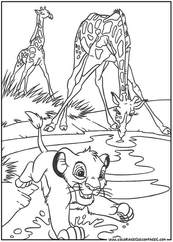 Coloring page: Lion (Animals) #10369 - Free Printable Coloring Pages