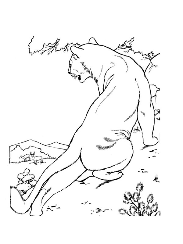 Coloring page: Lion (Animals) #10384 - Free Printable Coloring Pages