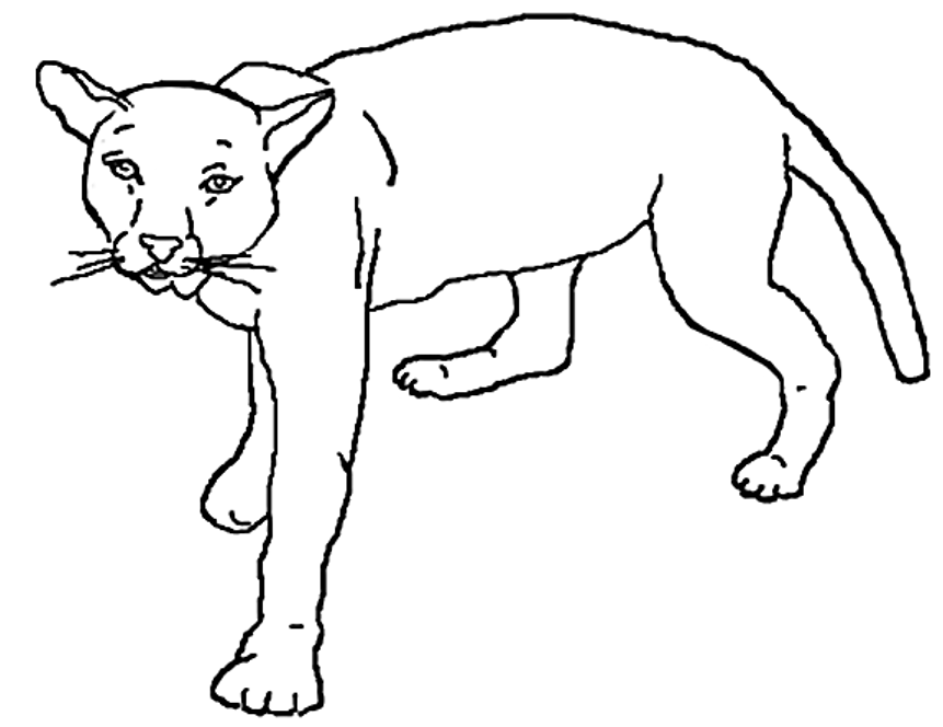 Coloring page: Lion (Animals) #10388 - Free Printable Coloring Pages