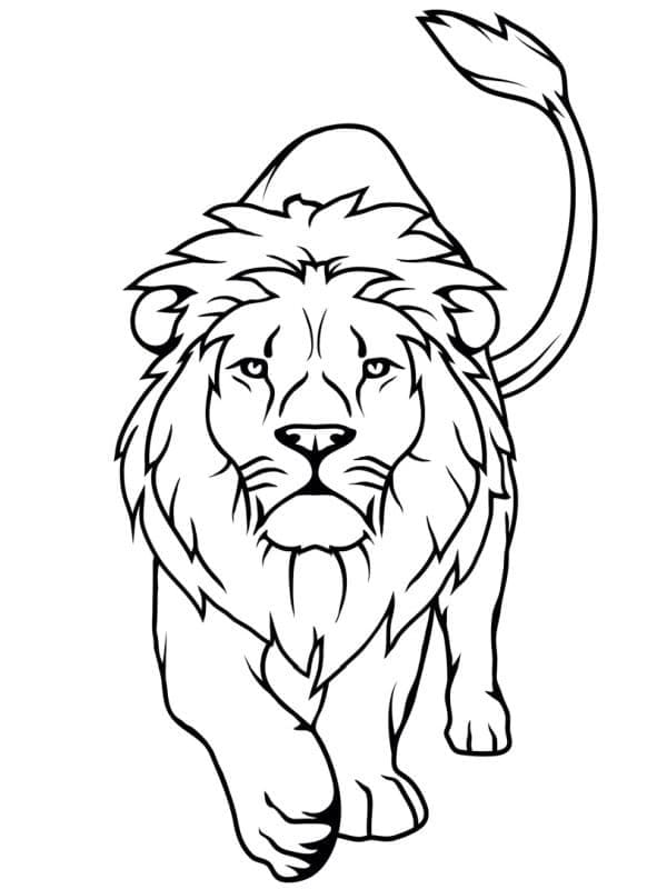 Free printable Lion coloring page #174855 from Animals collection