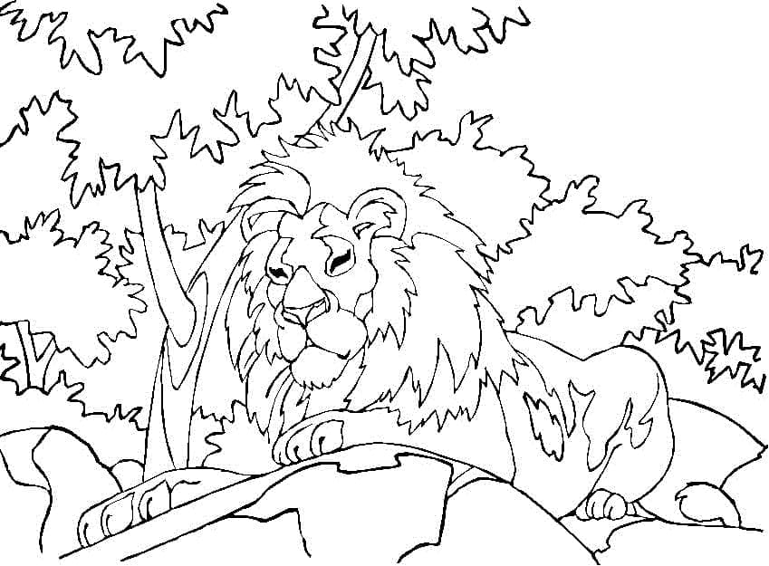 Free printable Lion coloring page #174859 from Animals collection