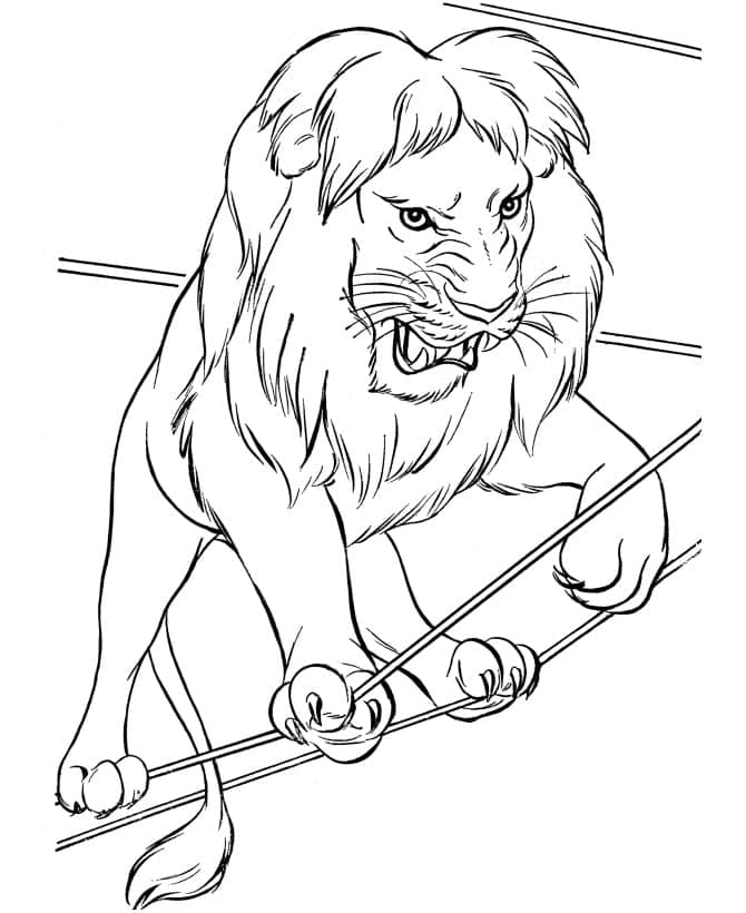 Free printable Lion coloring page #174861 from Animals collection