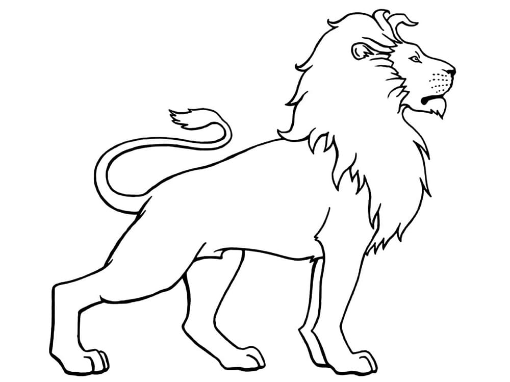 Free printable Lion coloring page #174878 from Animals collection