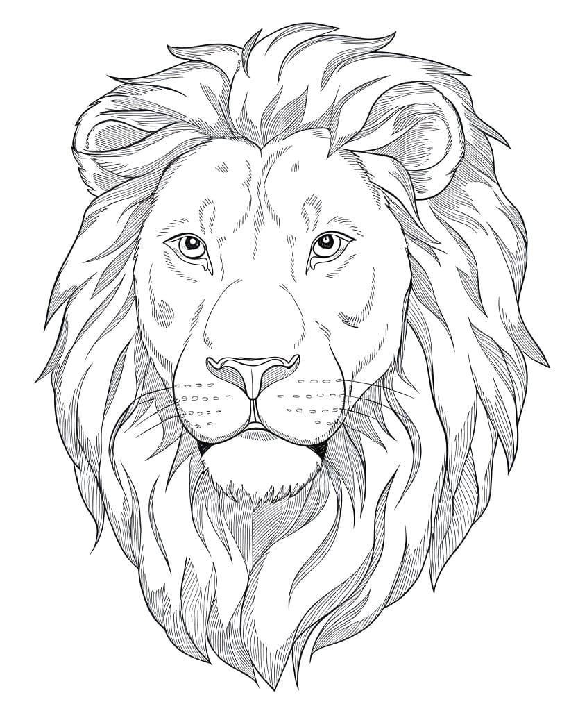 Free printable Lion coloring page #218692 from Animals collection Free printable Lion coloring page #218692 from Animals collection