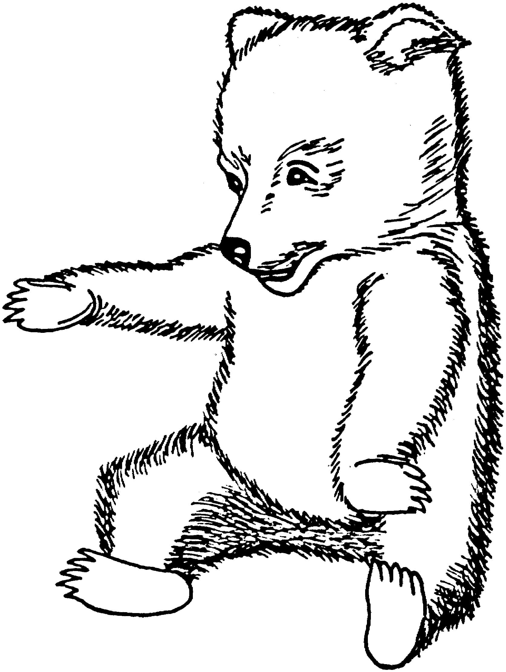 Free printable Little Bear coloring page #214460 from Animals collection
