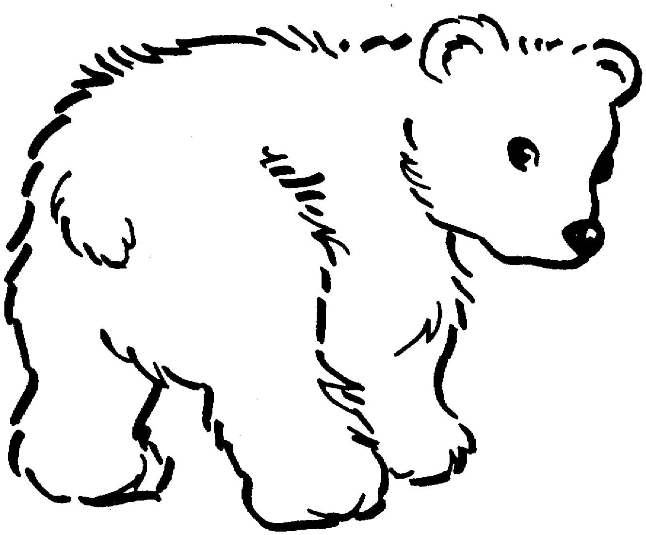 Free printable Little Bear coloring page #214461 from Animals collection