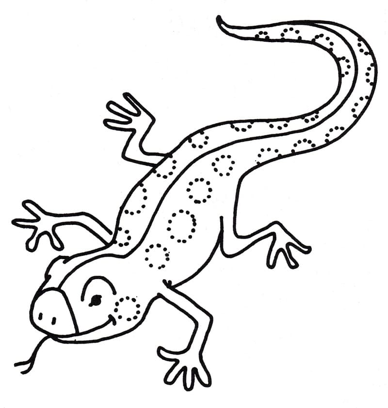 Free printable Lizard coloring page #179628 from Animals collection Free printable Lizard coloring page #179628 from Animals collection