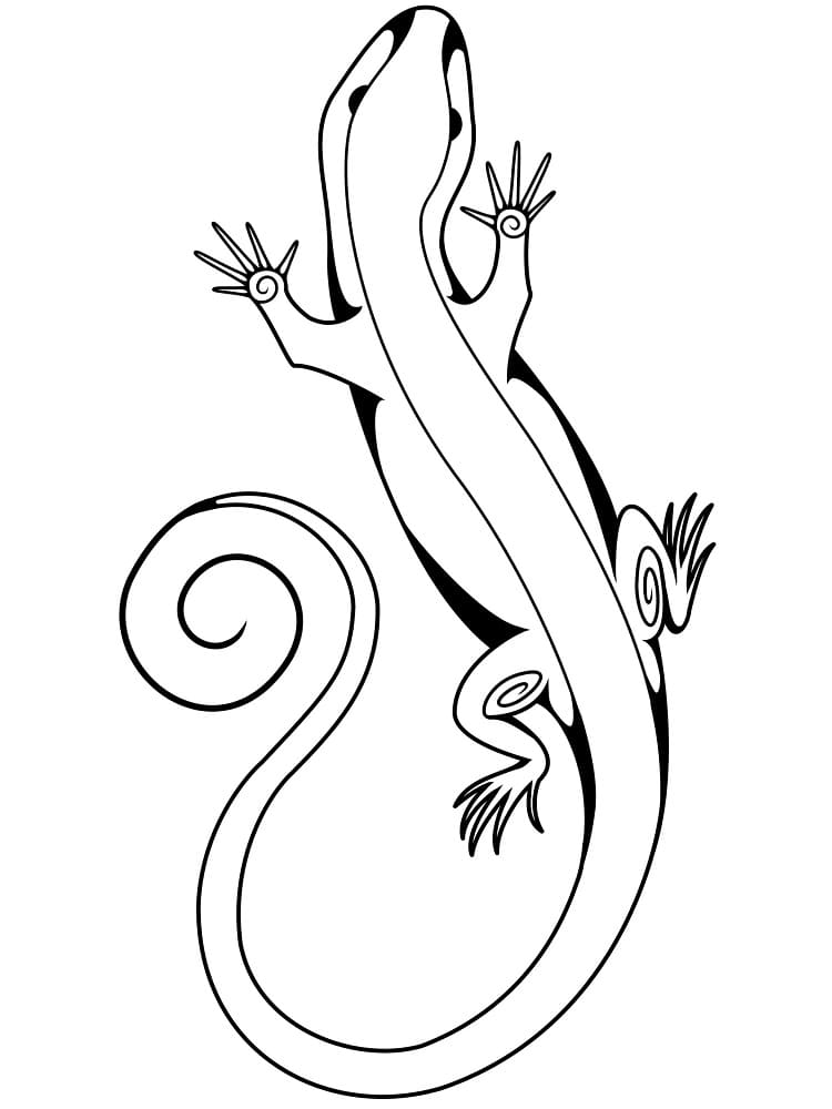 Free printable Lizard coloring page #179629 from Animals collection