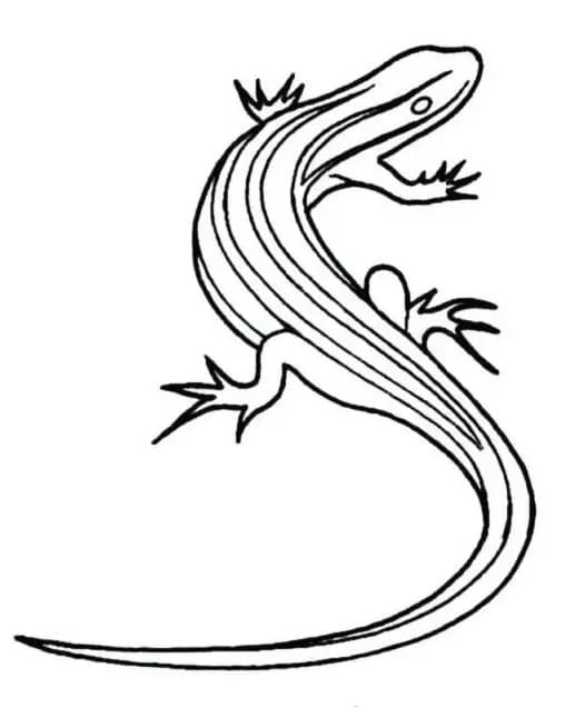 Free printable Lizard coloring page #179645 from Animals collection Free printable Lizard coloring page #179645 from Animals collection