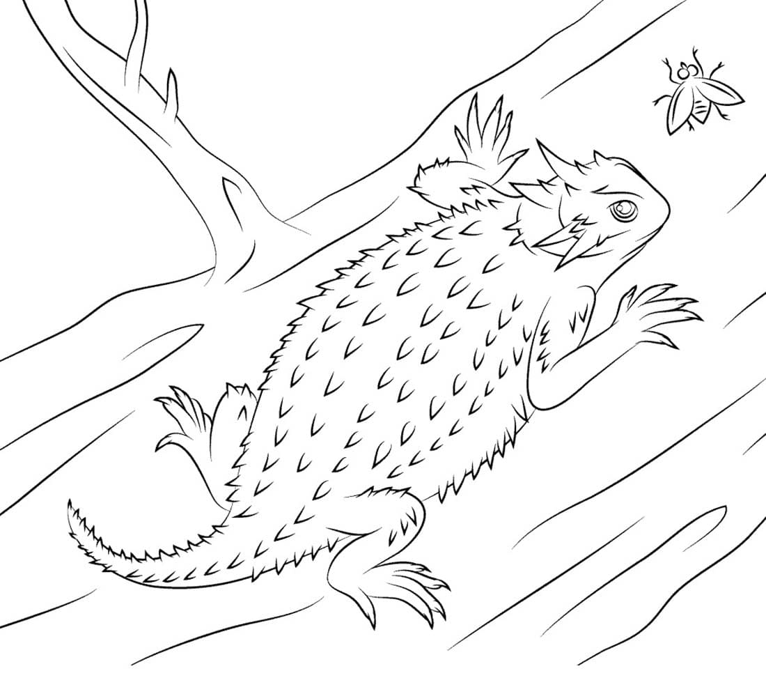 Free printable Lizard coloring page #217855 from Animals collection