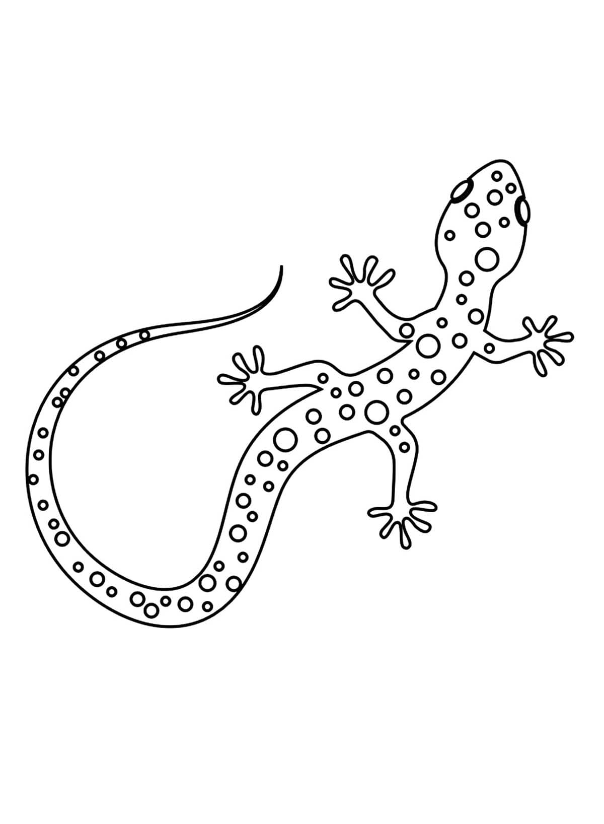 Free printable Lizard coloring page #217865 from Animals collection Free printable Lizard coloring page #217865 from Animals collection