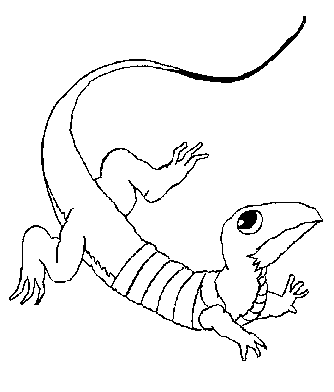 Coloring page: Lizards (Animals) #22295 - Free Printable Coloring Pages