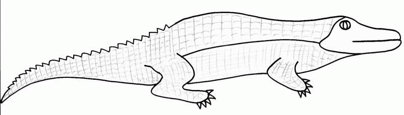 Coloring page: Lizards (Animals) #22346 - Free Printable Coloring Pages