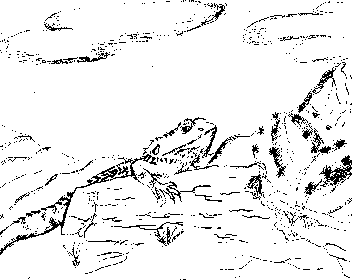 Coloring page: Lizards (Animals) #22373 - Free Printable Coloring Pages