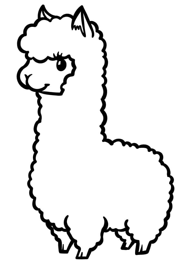 Free printable Llama coloring page #179523 from Animals collection