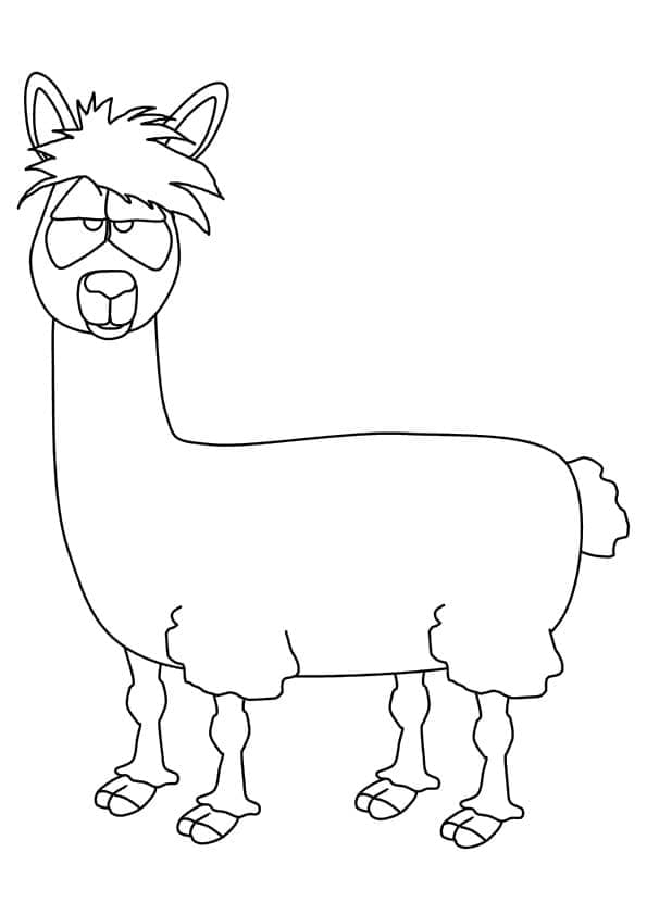 Free printable Llama coloring page #179531 from Animals collection Free printable Llama coloring page #179531 from Animals collection