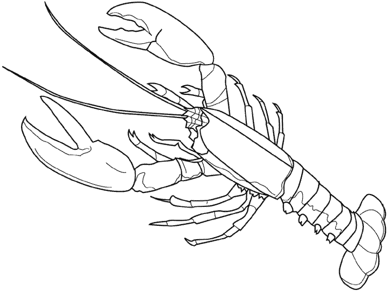Coloring page: Lobster (Animals) #22480 - Free Printable Coloring Pages