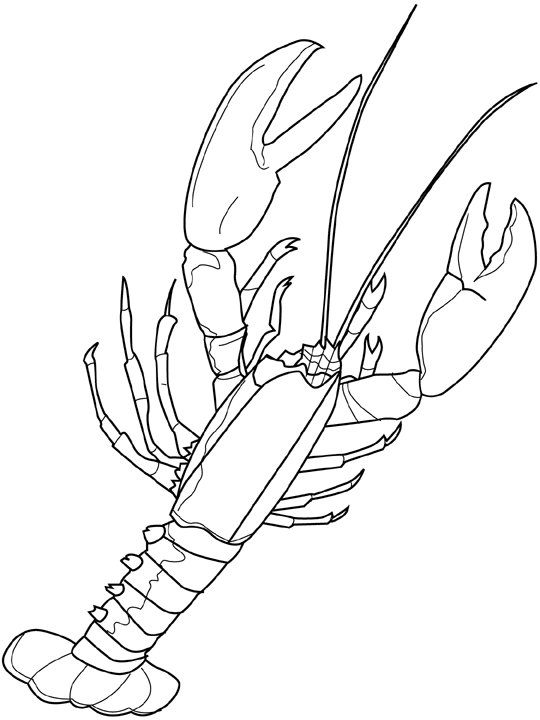 Coloring page: Lobster (Animals) #22483 - Free Printable Coloring Pages